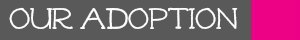 adoptionbutton