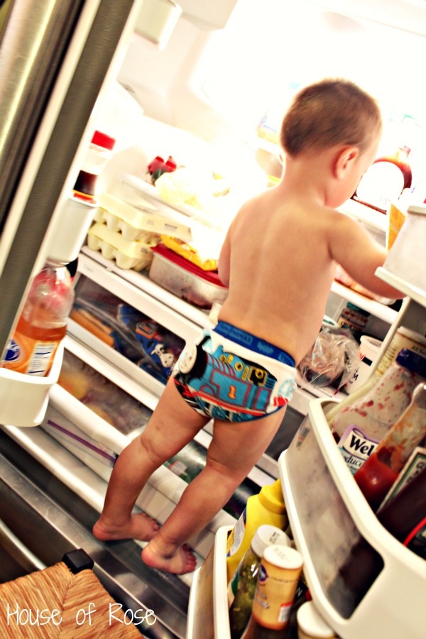 Refrigerator Climbing