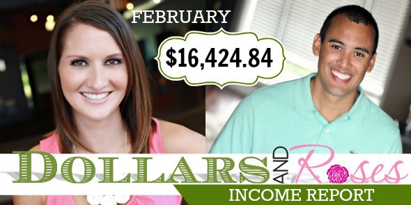 DR Income Reports FEB 2013