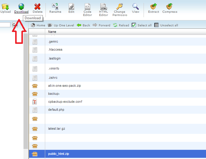 Download the created public_html.zip file to your computer