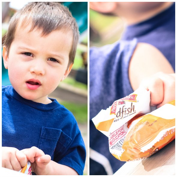 Little Brother - Sibling Love - A Day At The Park