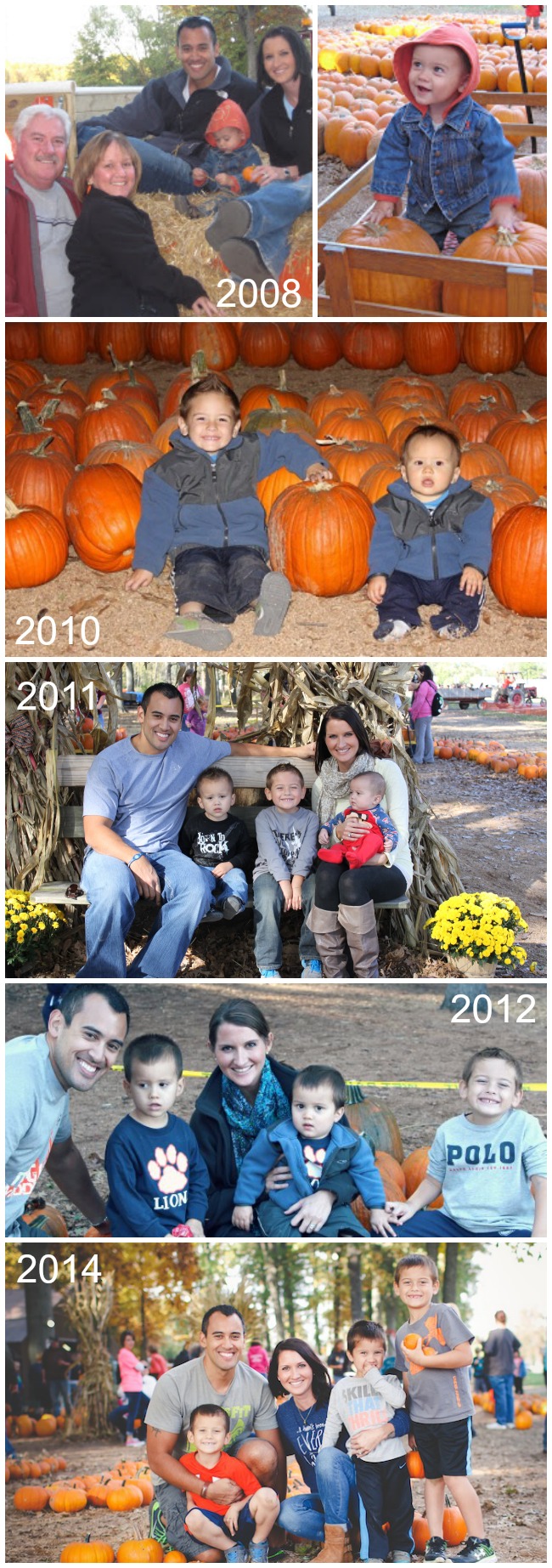 pumpkin patch 10